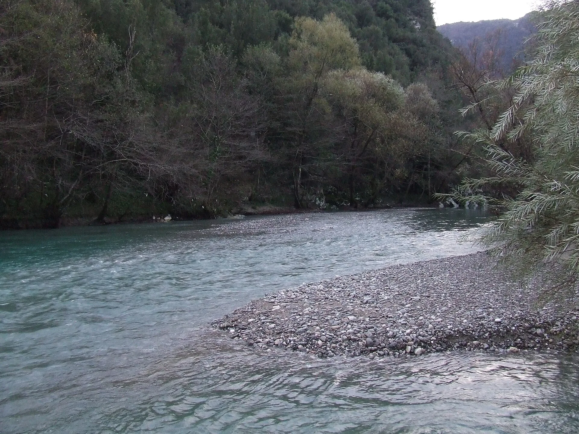 Il fiume Calore che scorre tra i boschi nei pressi di Felitto